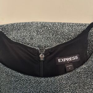 Express Sparkling Silver Dress